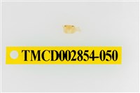 藏品(細足澤蟹)的圖片